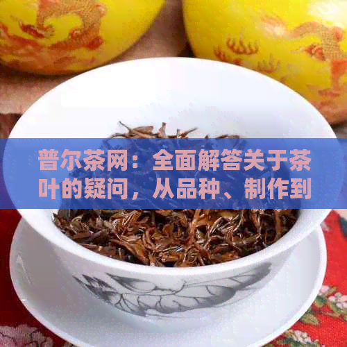 普尔茶网：全面解答关于茶叶的疑问，从品种、制作到品饮方法一应俱全