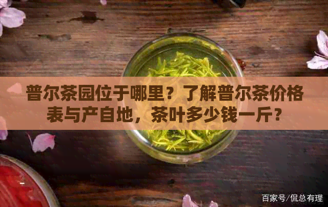 普尔茶园位于哪里？了解普尔茶价格表与产自地，茶叶多少钱一斤？