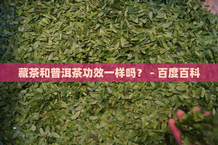 藏茶和普洱茶功效一样吗？ - 百度百科