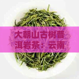 大朝山古树普洱岩茶：云南特色茶叶的魅力与价格解析