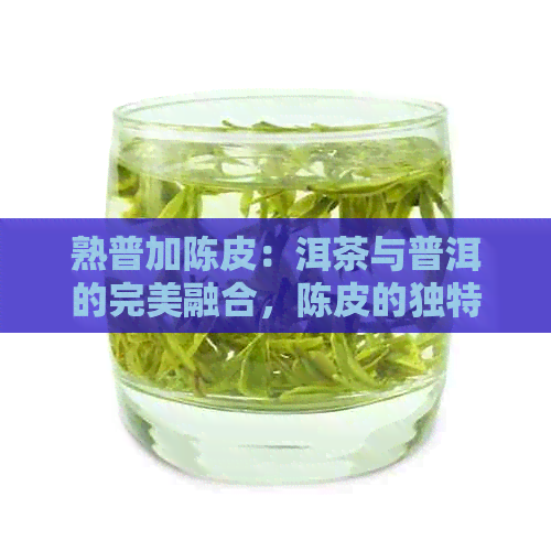 熟普加陈皮：洱茶与普洱的完美融合，陈皮的独特魅力尽显功效