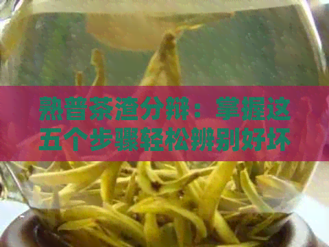 熟普茶渣分辩：掌握这五个步骤轻松辨别好坏！