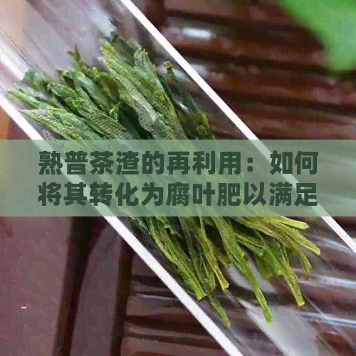 熟普茶渣的再利用：如何将其转化为腐叶肥以满足植物生长需求