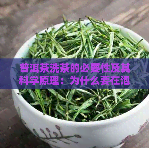 普洱茶洗茶的必要性及其科学原理：为什么要在泡茶前洗茶？