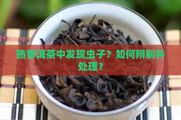 熟普洱茶中发现虫子？如何辨别并处理？