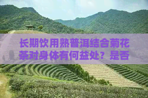 长期饮用熟普洱结合菊花茶对身体有何益处？是否可行？请医生给出专业意见