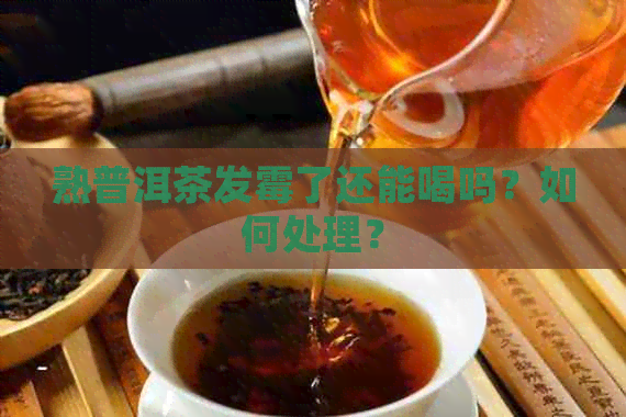 熟普洱茶发霉了还能喝吗？如何处理？