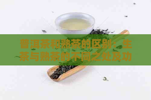 普洱茶和熟茶的区别：生茶与熟茶的不同之处及功效对比