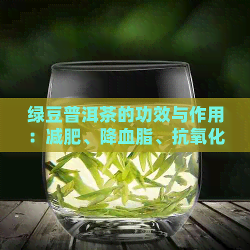 绿豆普洱茶的功效与作用：减肥、降血脂、抗氧化，但禁忌于孕妇和胃寒者。