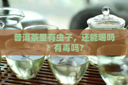 普洱茶里有虫子，还能喝吗？有吗？