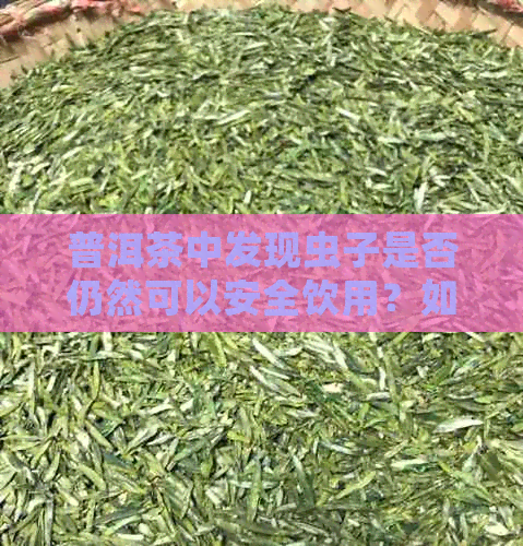 普洱茶中发现虫子是否仍然可以安全饮用？如何处理普洱茶中的虫子问题？