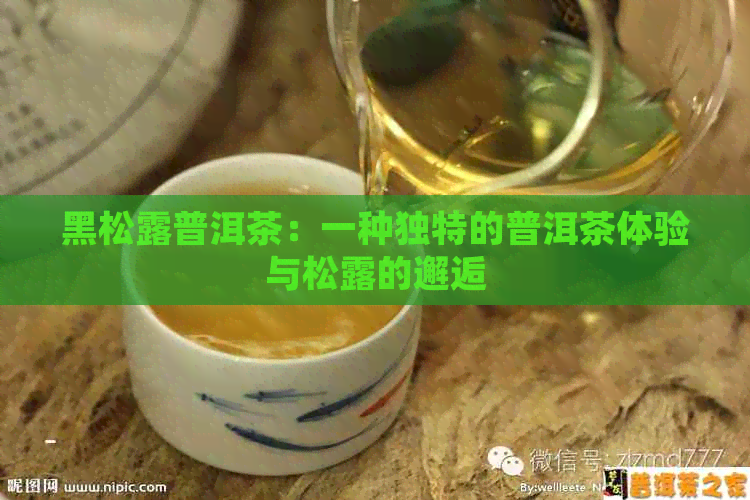 黑松露普洱茶：一种独特的普洱茶体验与松露的邂逅