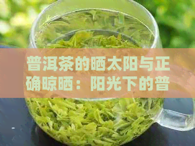 普洱茶的晒太阳与正确晾晒：阳光下的普洱熟茶