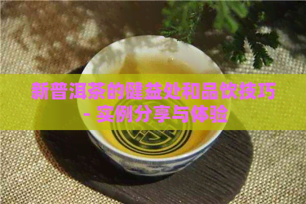 新普洱茶的健益处和品饮技巧 - 实例分享与体验