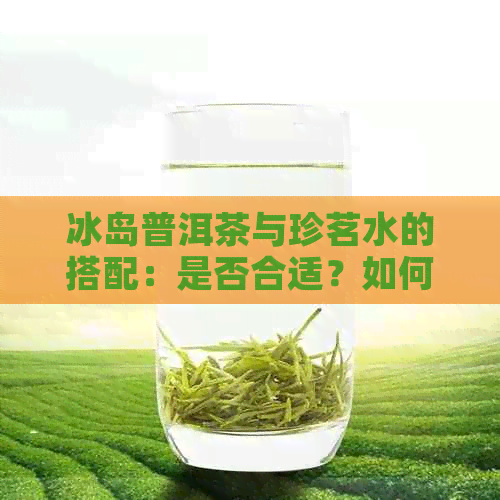 冰岛普洱茶与珍茗水的搭配：是否合适？如何制作才能达到效果？