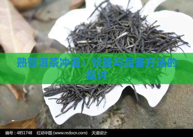 熟普洱茶冲泡：饮量与品鉴方法的探讨