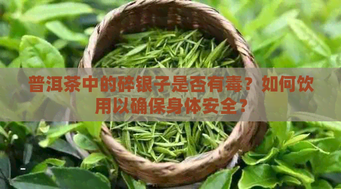 普洱茶中的碎银子是否有？如何饮用以确保身体安全？