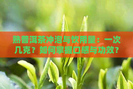 熟普洱茶冲泡与饮用量：一次几克？如何掌握口感与功效？