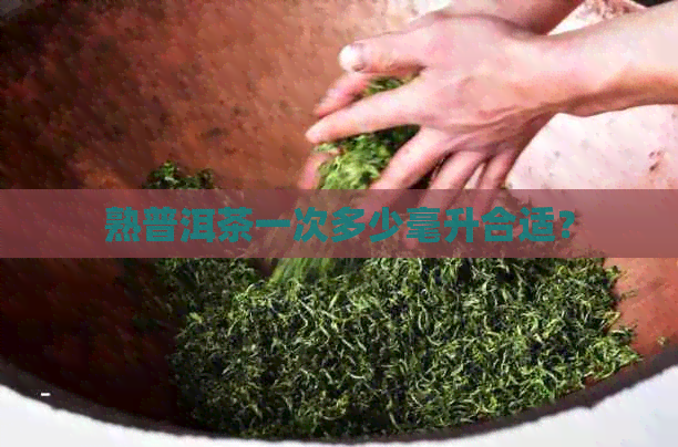 熟普洱茶一次多少毫升合适？