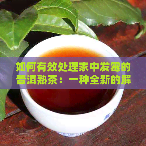 如何有效处理家中发霉的普洱熟茶：一种全新的解救方案