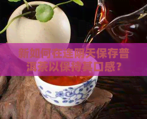 新如何在连阴天保存普洱茶以保持其口感？