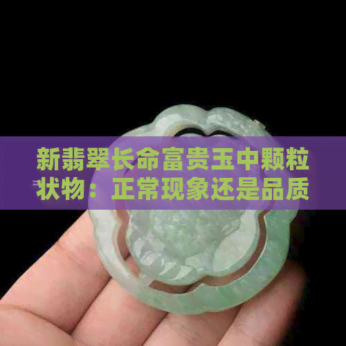 新翡翠长命富贵玉中颗粒状物：正常现象还是品质问题？