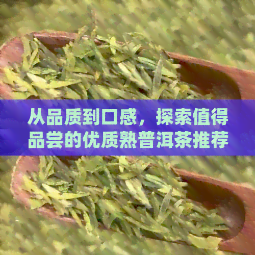 从品质到口感，探索值得品尝的优质熟普洱茶推荐