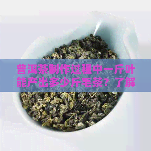 普洱茶制作过程中一斤叶能产出多少斤毛茶？了解详细制作比例及工艺