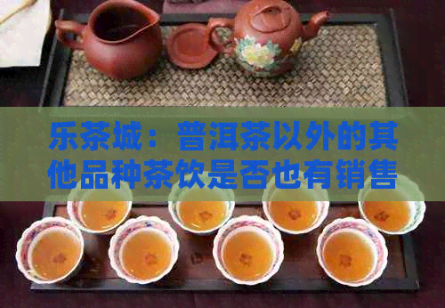 乐茶城：普洱茶以外的其他品种茶饮是否也有销售？