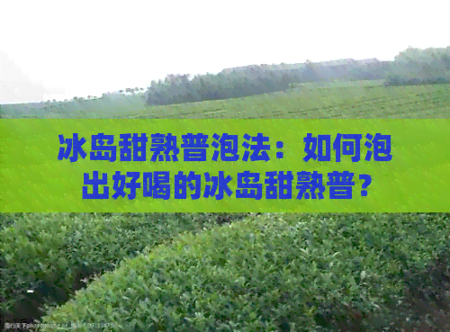 冰岛甜熟普泡法：如何泡出好喝的冰岛甜熟普？