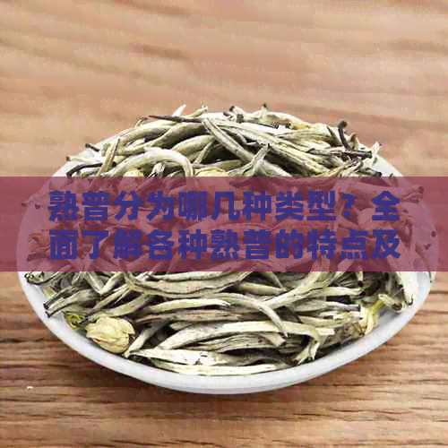 熟普分为哪几种类型？全面了解各种熟普的特点及应用范围