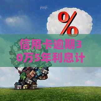 信用卡逾期30万5年利息计算方法及可能的影响全面解析