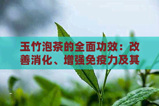 玉竹泡茶的全面功效：改善消化、增强免疫力及其他可能的好处