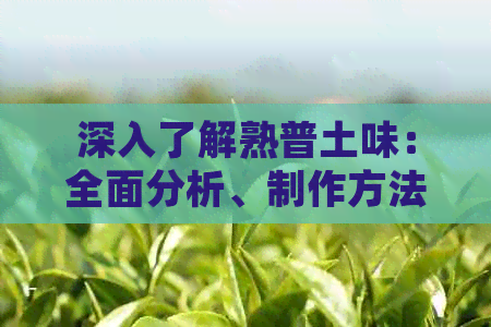 深入了解熟普土味：全面分析、制作方法与食用建议，满足用户搜索需求