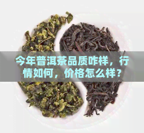 今年普洱茶品质咋样，行情如何，价格怎么样？