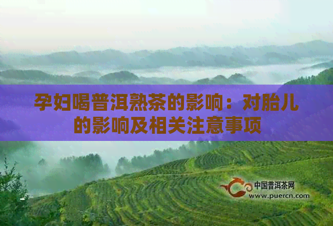 孕妇喝普洱熟茶的影响：对胎儿的影响及相关注意事项