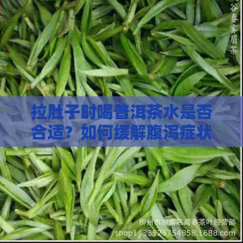 拉肚子时喝普洱茶水是否合适？如何缓解腹泻症状？