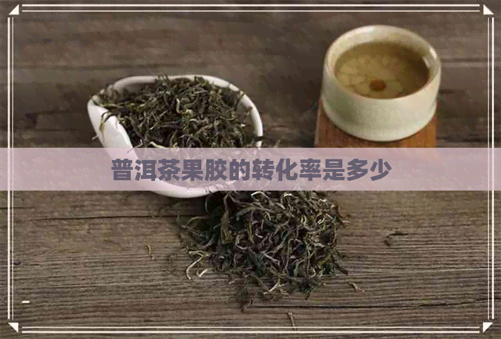 普洱茶果胶的转化率是多少