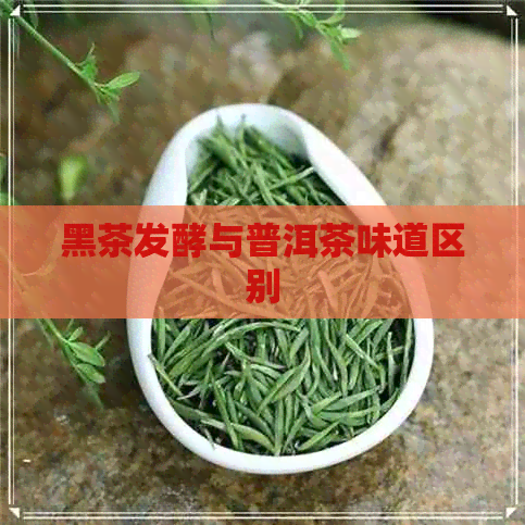 黑茶发酵与普洱茶味道区别