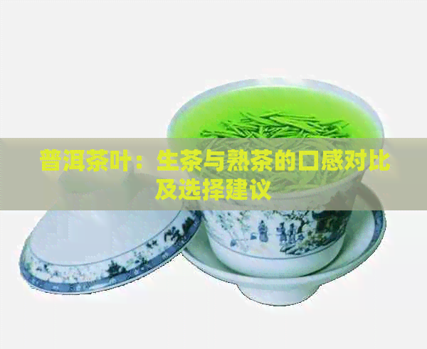 普洱茶叶：生茶与熟茶的口感对比及选择建议