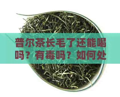 普尔茶长毛了还能喝吗？有吗？如何处理？