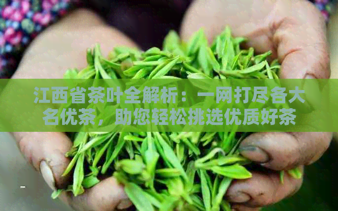 江西省茶叶全解析：一网打尽各大名优茶，助您轻松挑选优质好茶