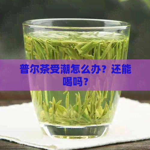 普尔茶受潮怎么办？还能喝吗？