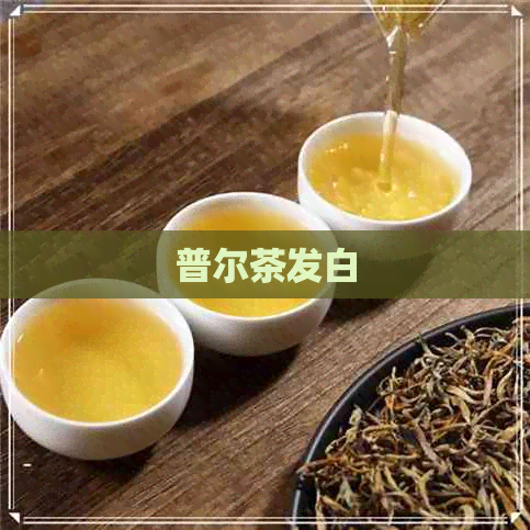 普尔茶发白