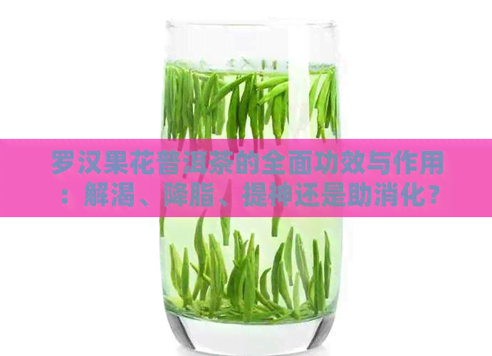 罗汉果花普洱茶的全面功效与作用：解渴、降脂、提神还是助消化？