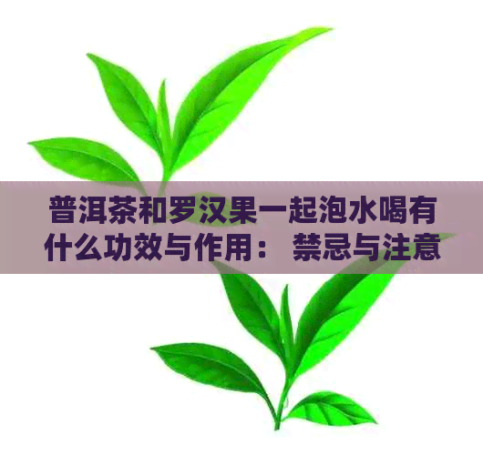 普洱茶和罗汉果一起泡水喝有什么功效与作用： 禁忌与注意事项