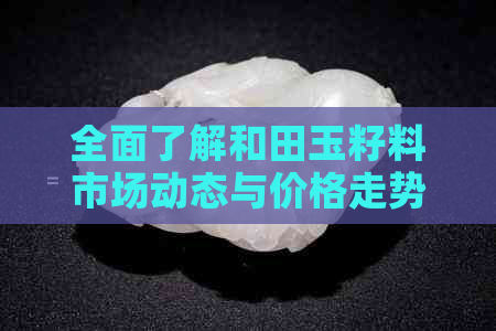 全面了解和田玉籽料市场动态与价格走势，探索高端投资价值与收藏前景