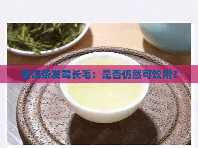 普洱茶发霉长毛：是否仍然可饮用？