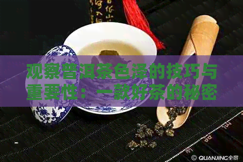 观察普洱茶色泽的技巧与重要性：一款好茶的秘密揭晓