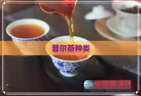 普尔茶种类